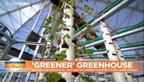 A vertical greenhouse plantation integrates agriculture into the city