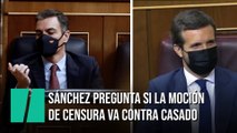 Sánchez pregunta si la moción de censura va contra Casado