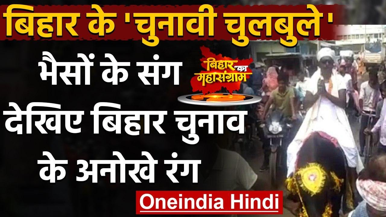 Bihar Elections 2020: भैसों के संग, बिहार चुनाव के रंग | वनइंडिया हिंदी