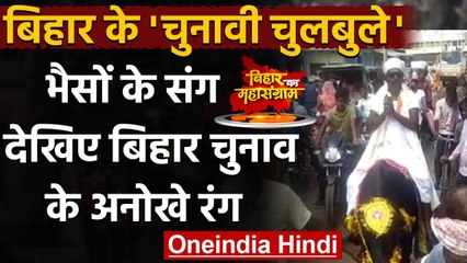 Bihar Elections 2020: भैसों के संग, बिहार चुनाव के रंग | वनइंडिया हिंदी