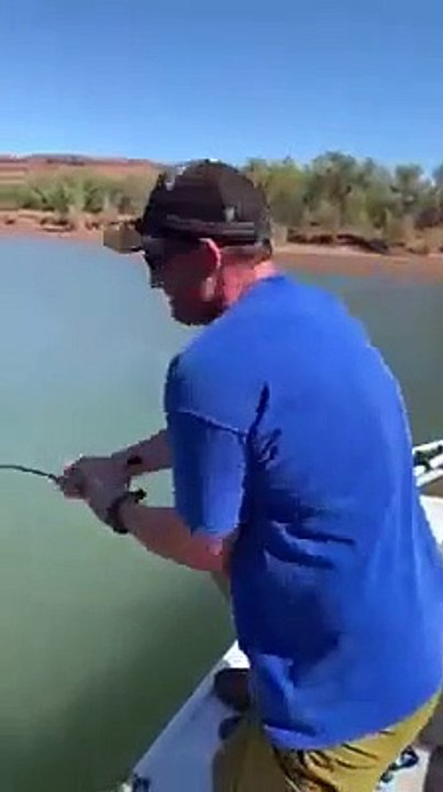 Shock in Australia, un uomo pesca... un coccodrillo