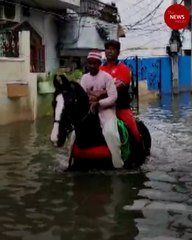 Download Video: Horses come to the rescue of Hyderabad residents stranded in floods