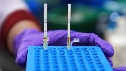 India to roll out quick and cheap paper Covid-19 test