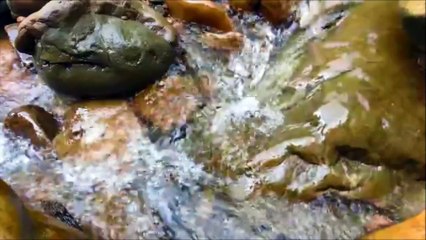 Jeris - Get Lost (No Copyright)