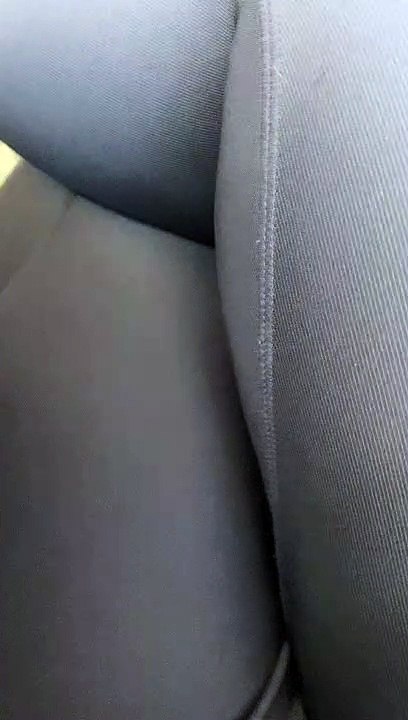 Attention Seeking Dog Refuses to Be Ignored
