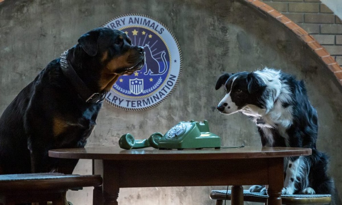 CATS & DOGS 3 PFOTEN VEREINT! Film