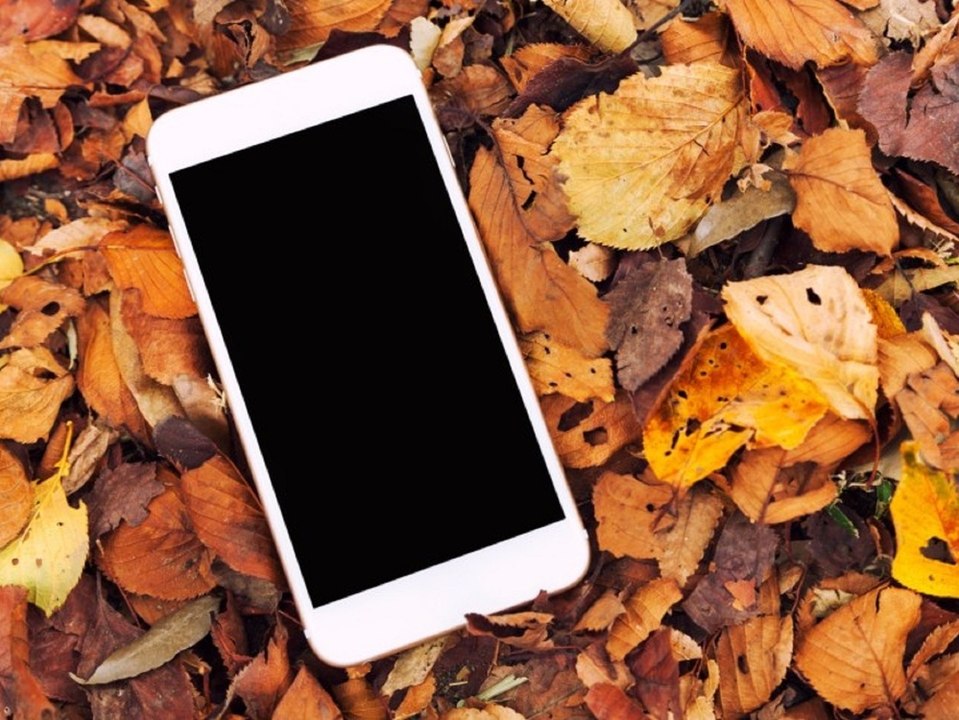Diese Apps sind im Herbst besonders hilfreich