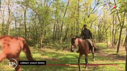 Haut-Rhin : une "brigade verte" pour surveiller les zones rurales