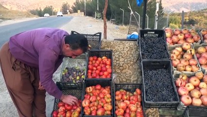 أكراد العراق في مواجهة أزمات اقتصادية ومالية... وثقة!