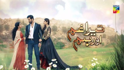 Tera Ghum Aur Hum Episode 34 Promo HUM TV Drama