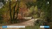 Ardèche : l'heure du retour d'estive est arrivée pour les troupeaux de brebis