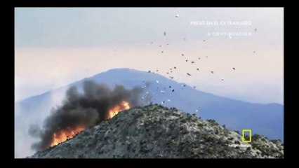 28 Segundos de Vida, Catástrofes Aéreas