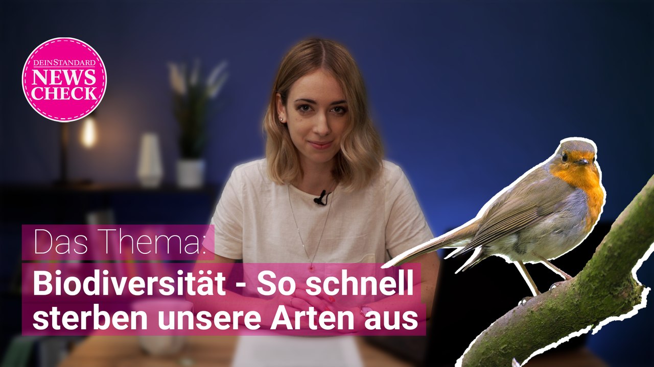 Wie steht es um die Artenvielfalt?