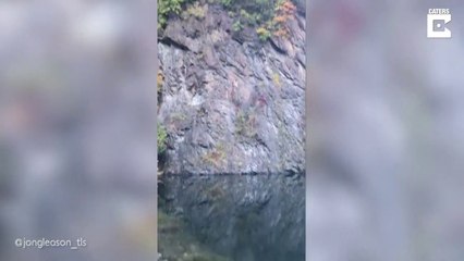 Il plonge d'une falaise de 35m de hauteur... écoutez le bruit à l'atterrissage