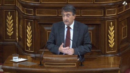 El PNV dice "no" a la "patochada" de moción de la ultraderecha