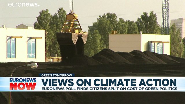 Nearly 70% of Italians say Europe's climate response is insufficient, Euronews survey reveals