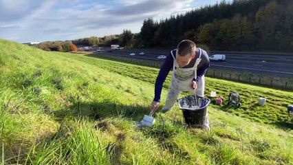 Ever wondered how the giant poppies appear on the M8?