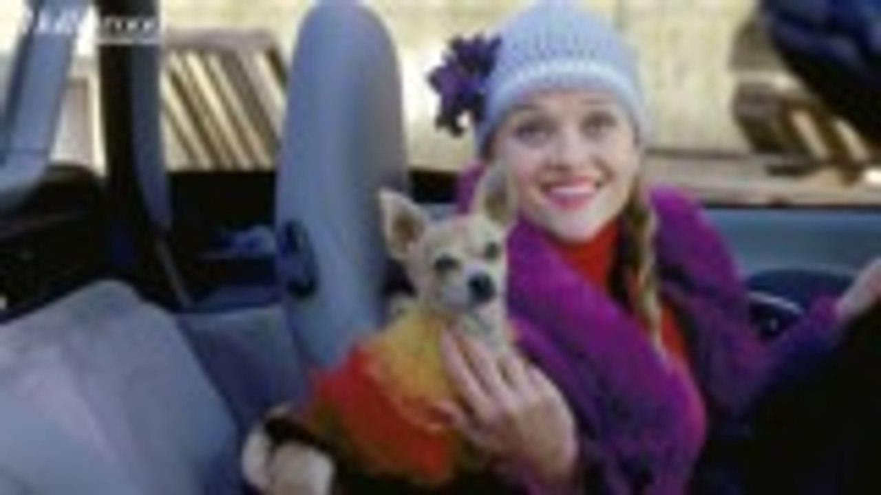 Reese Witherspoon, 'Legally Blonde' Cast Reunite For 20th Anniversary & Reveal Third Movie Release Date | THR