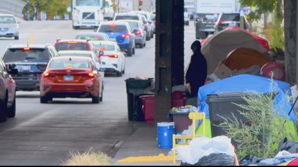 COVID-19 worsens US homeless crisis