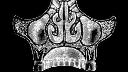 Hiding In Plain Sight? Scientists Discover Body Part No One Knew Existed