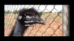 Emu fraud   Pasumai Vikatan