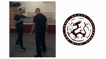 WuDae Den Haag Wing Chun Kung Fu Daan Chi Sau Application Training 3