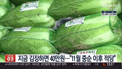 지금 김장하면 40만원…"11월 중순 이후 적당"