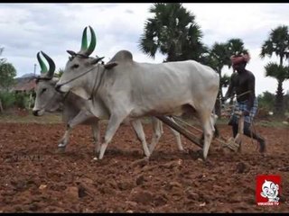 A Song for 'Iyarkai Velanmai' | Pasumai Vikatan