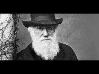 Inspiring Stories Everyday - Darwin