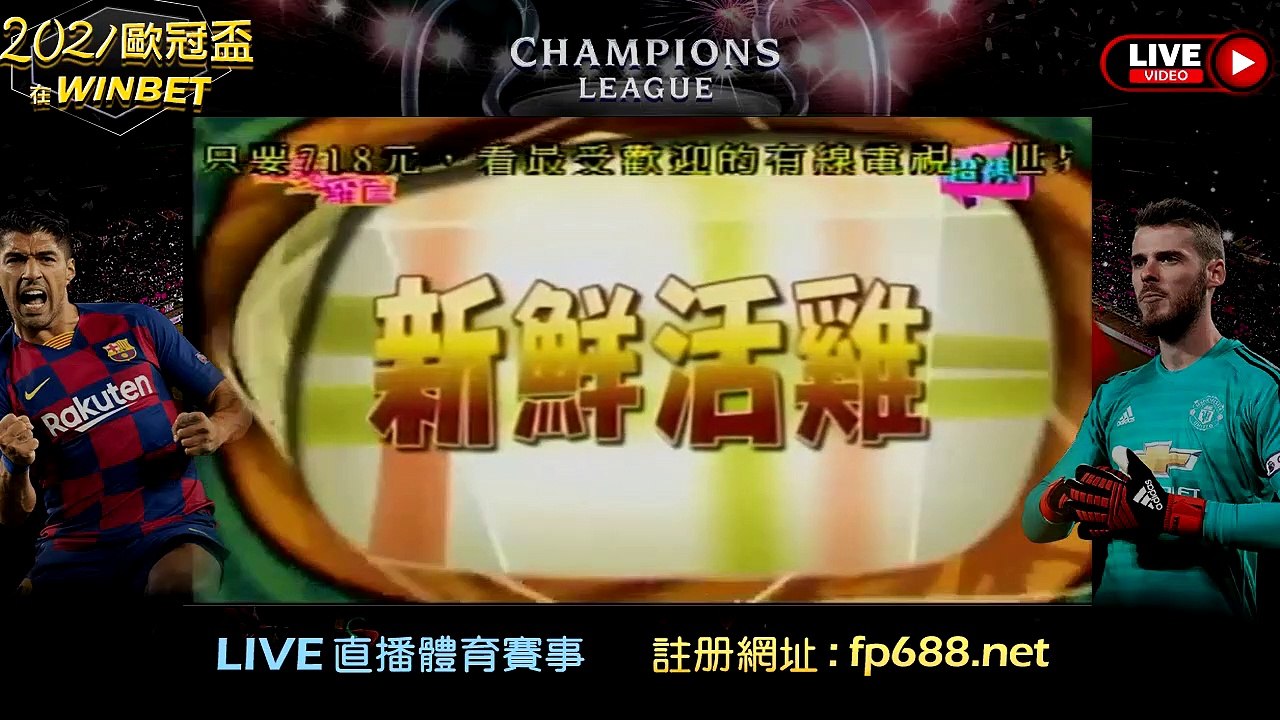 新鮮活雞