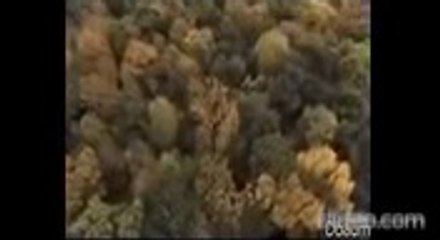 [TV SERIES] A Million Little Things Season 3 Episode 1