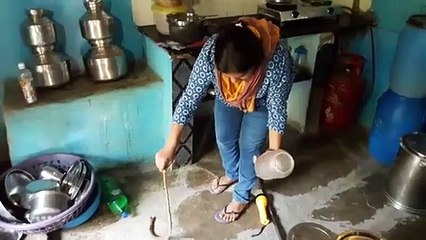 bhavna patel  india gujrat valsad vapi jeevdaya group pardi