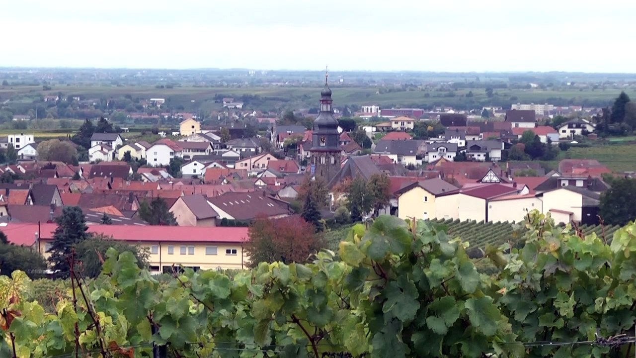 Keine Trump-Euphorie mehr in Kallstadt