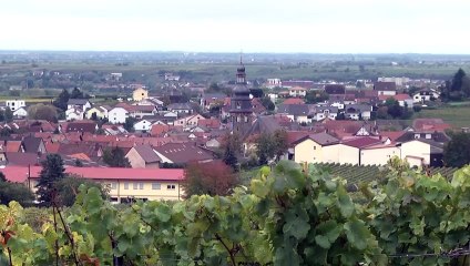 Keine Trump-Euphorie mehr in Kallstadt