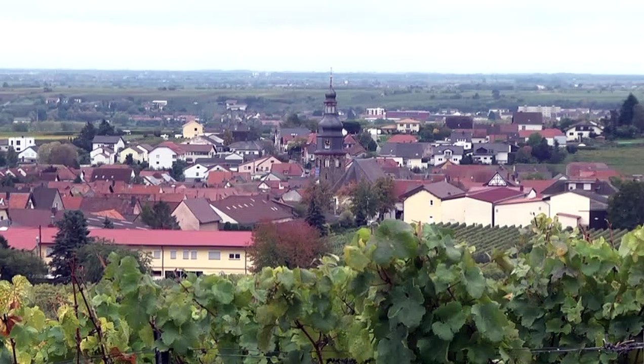 Keine Trump-Euphorie mehr in Kallstadt