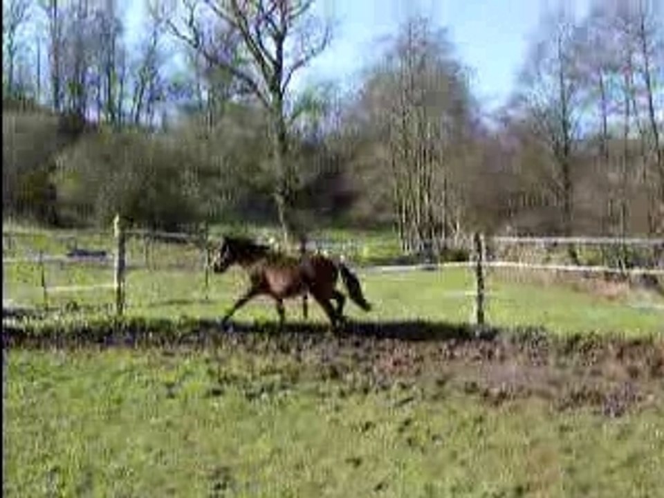 teste spirit obstacle