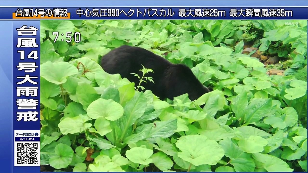 さわやか自然百景「北海道　大雪高原温泉」