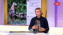 Un chasseur sachant chasser... en ligne - Hashtag l'émission (23/10/2020)