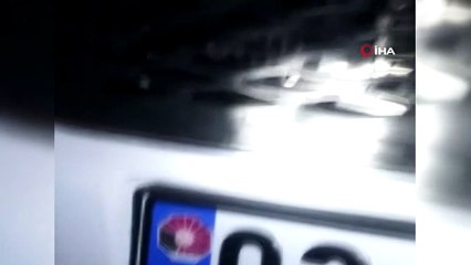 Yaramaz kedi için itfaiye ekipleri seferber oldu