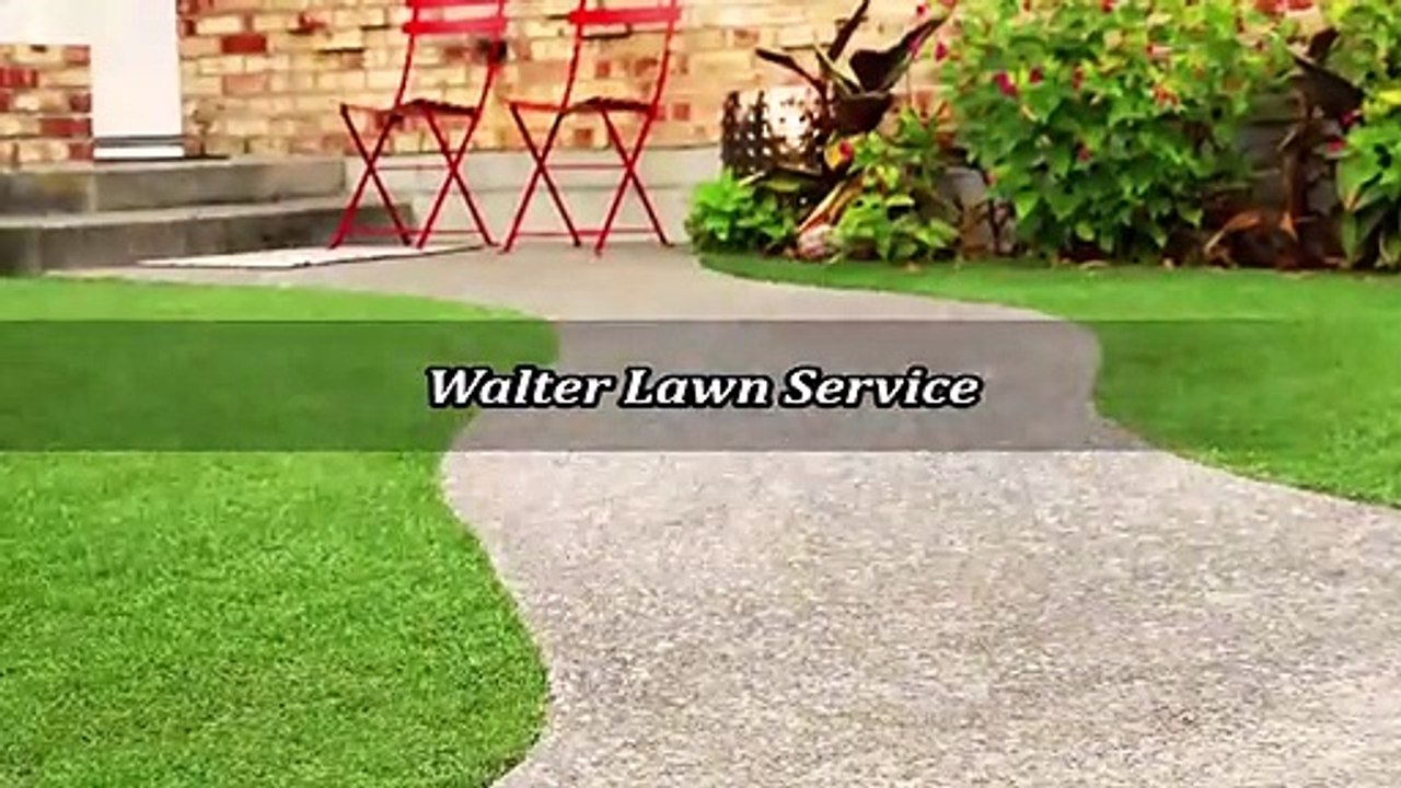 Walter Lawn Service