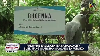 #PTVBalitaNgayon | Philippine Eagle Center sa Davao City, subli nang gi-ablihan sa alang sa publiko
