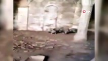 - Ermenistan askerlerinin Zengilan'da camiyi ahıra çevirdiği ortaya çıktı