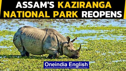 Download Video: Kaziranga Park reopens for tourists after being shut for almost 7 months|Oneindia News