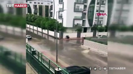 Sokak köpeğini şemsiyesiyle yağmurdan korudu