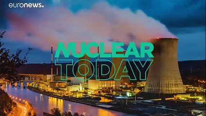 La vie reprend peu à peu ses droits dans la zone d'exclusion de Tchernobyl