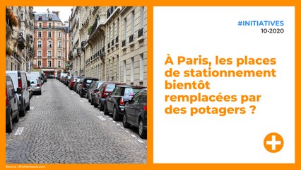 À Paris, les places de stationnement bientôt remplacées par des potagers ?