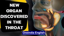 Neworgan discovered in human throat: How did it evade detection? | Oneindia News