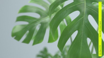 Mike Mago - Eyes On Me