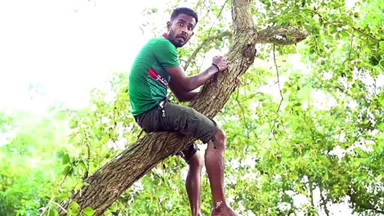 TRY TO NOT LAUGH CHALLENGE  Must Watch New Funny Video 2020
