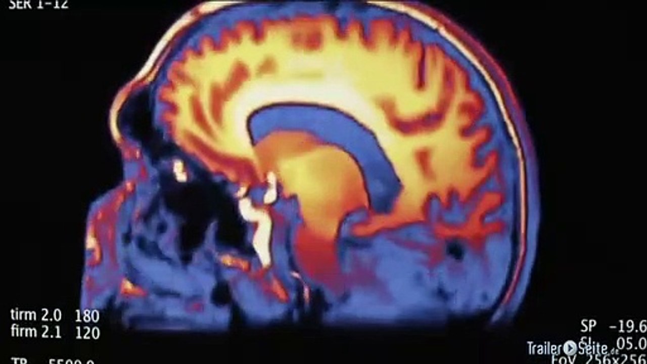 Swans Trailer (2011)